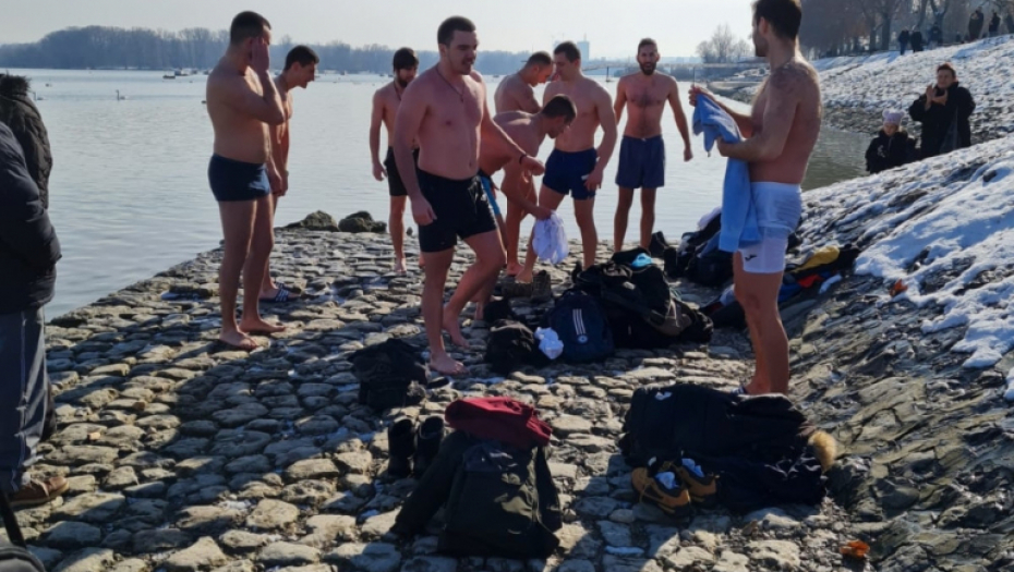 Plivanje za časni krst, Zemun