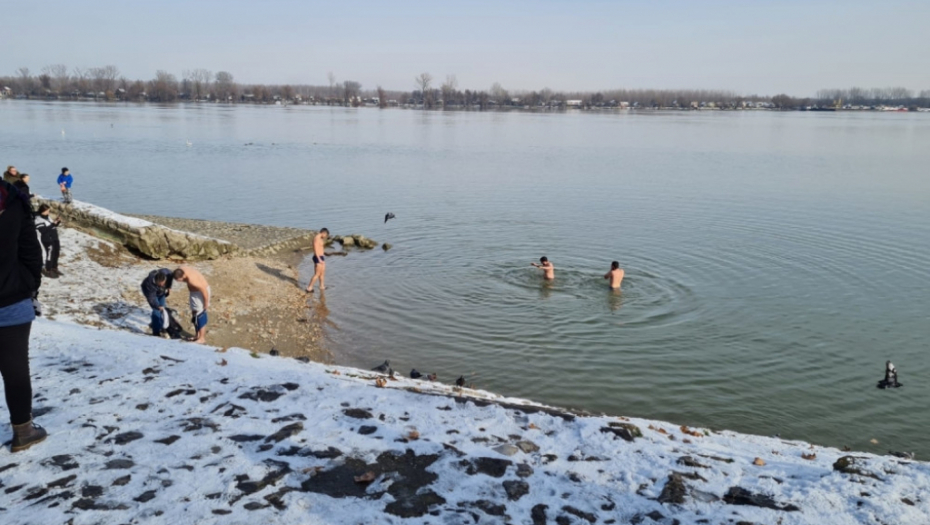 Plivanje za časni krst, Zemun