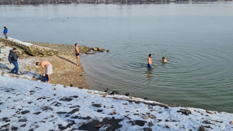 Plivanje za časni krst, Zemun