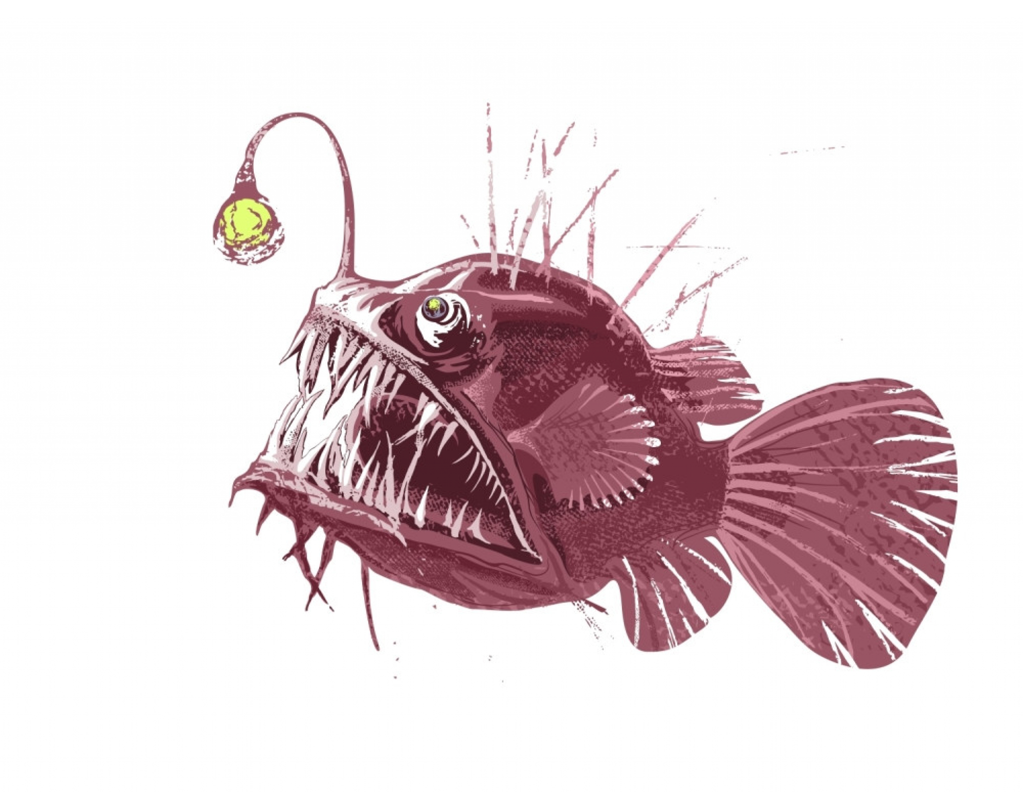 morski djavo, riba