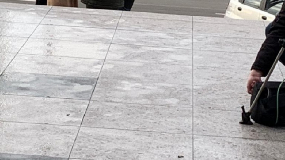 Milena Radulović roditelji