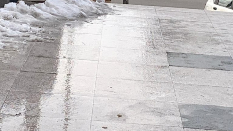 Milena Radulović roditelji