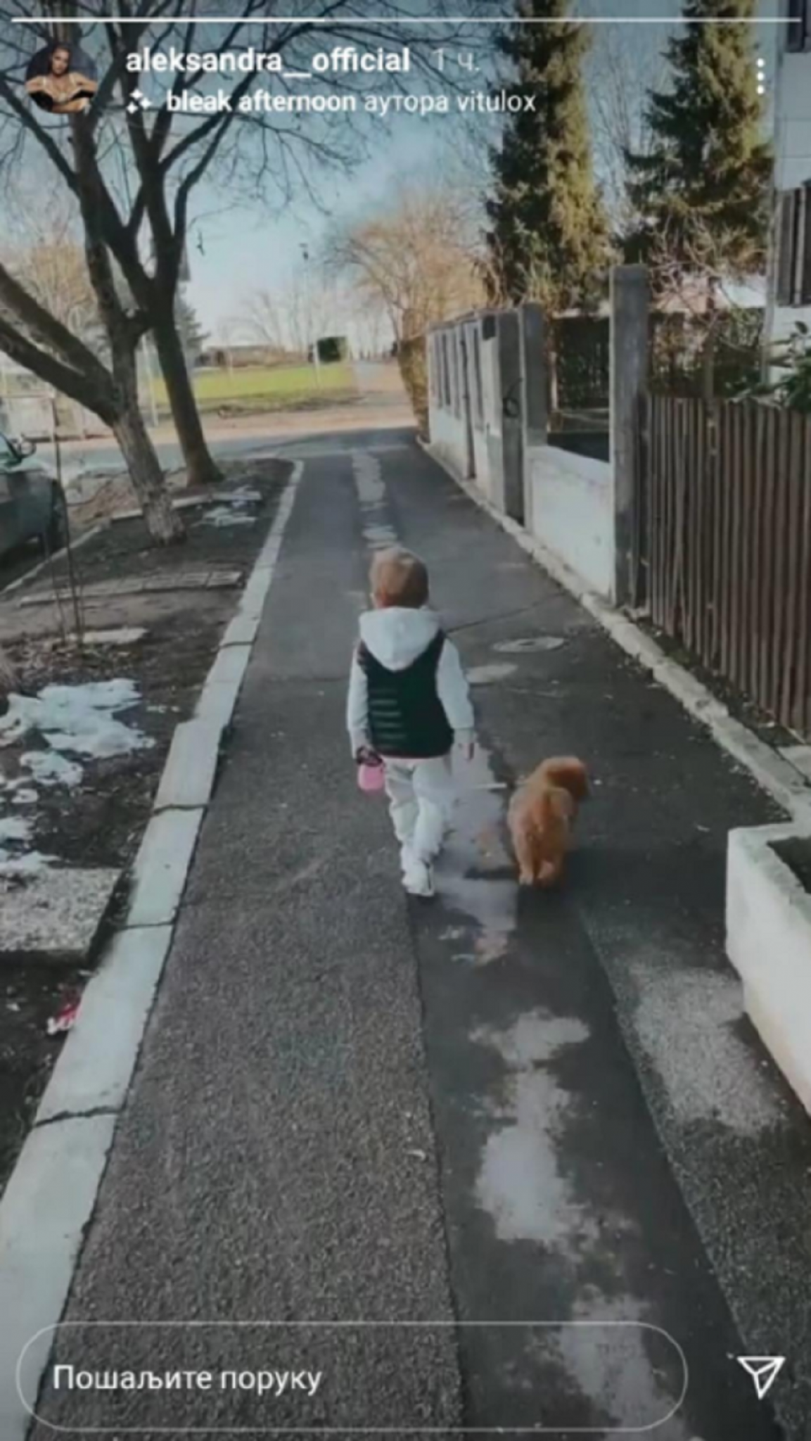 Aleksandra prijović u šetnji sa sinom