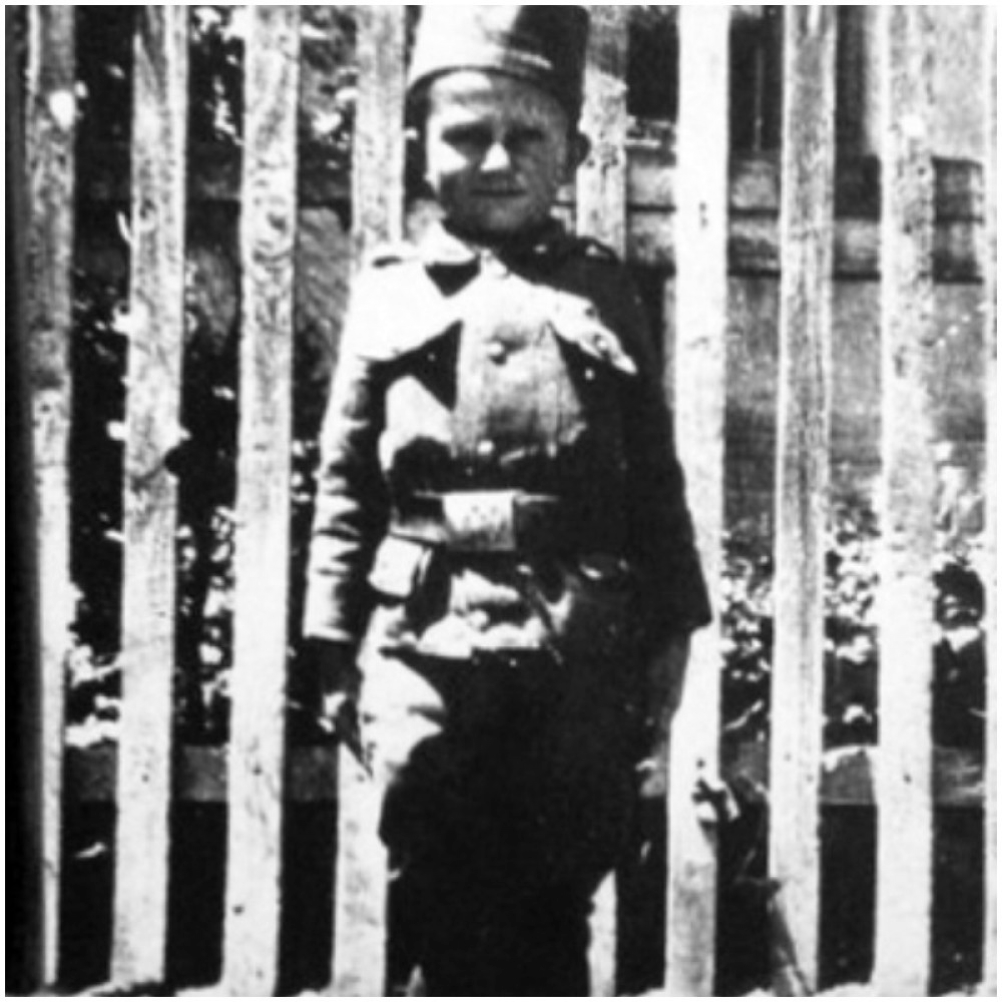 momcilo gavric, vojiska, srbija