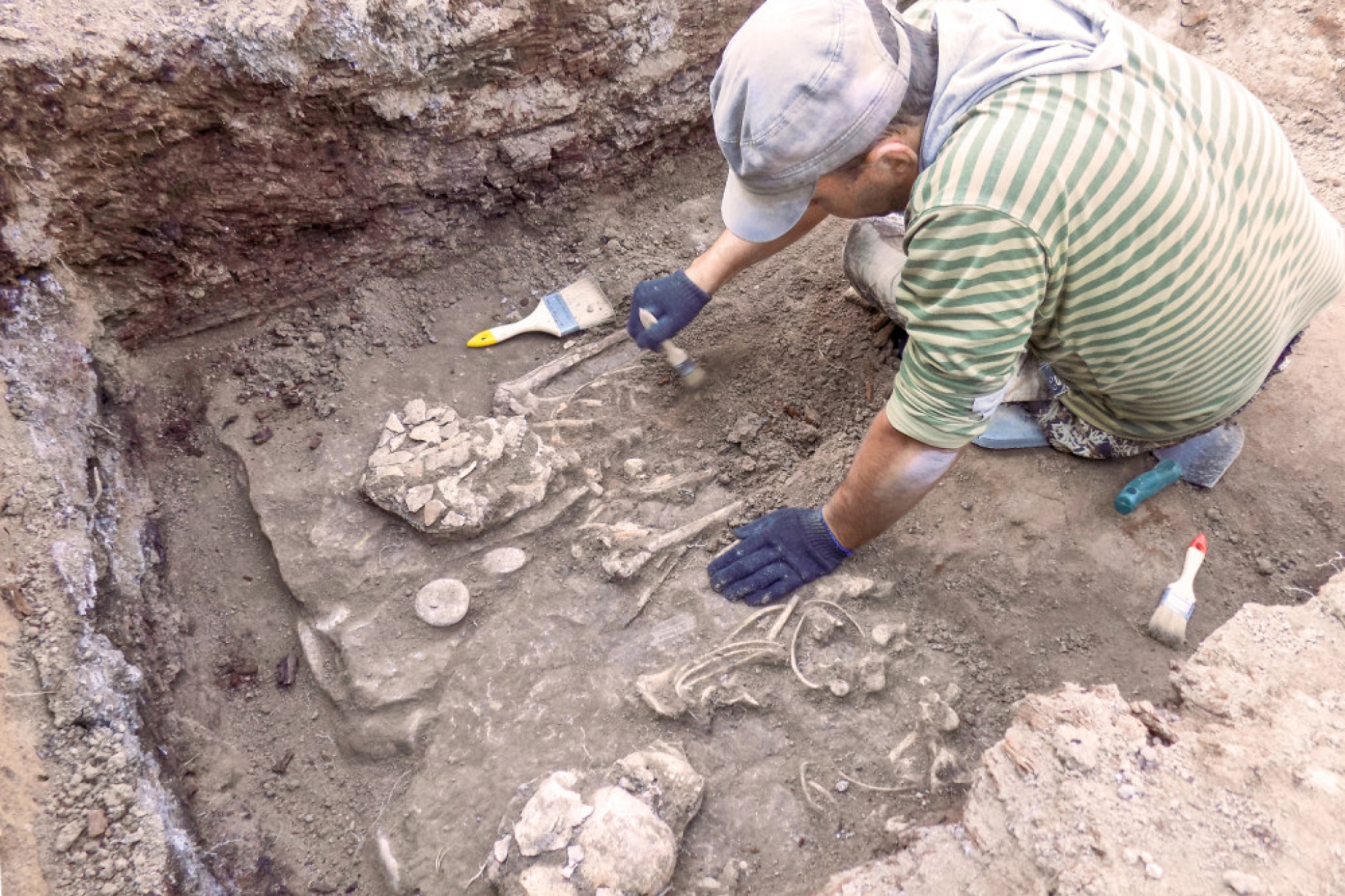 neandrtalci, homosapians, praistorija