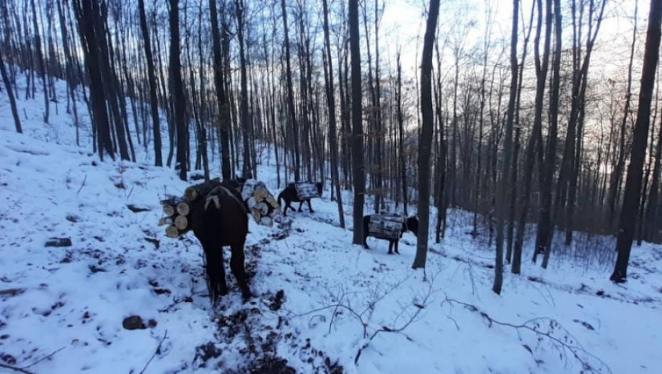 Krdo Milosavljevića