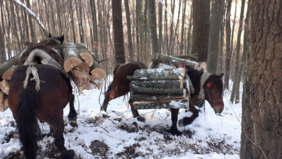 Krdo Milosavljevića