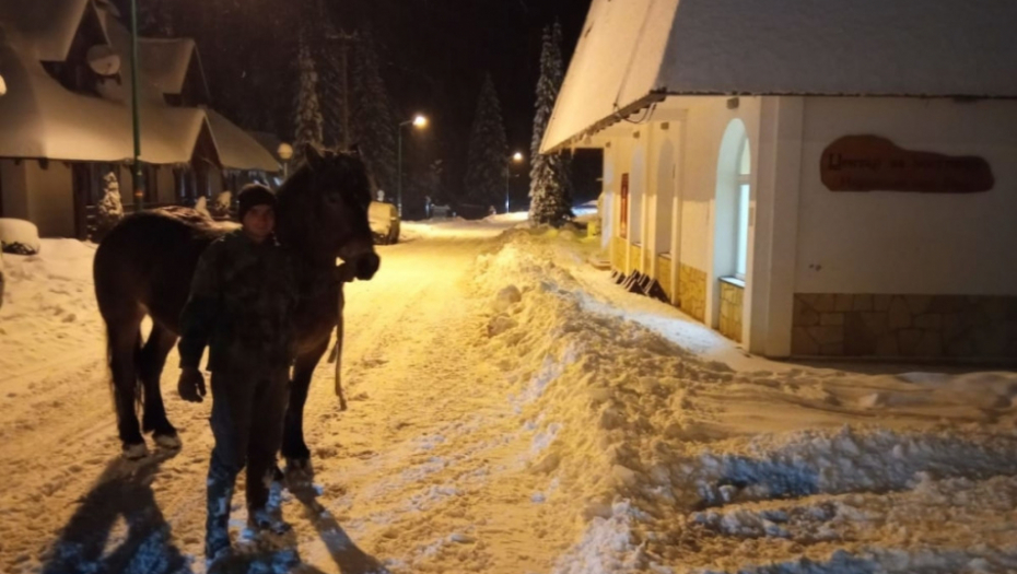 Veljko Milosavljević