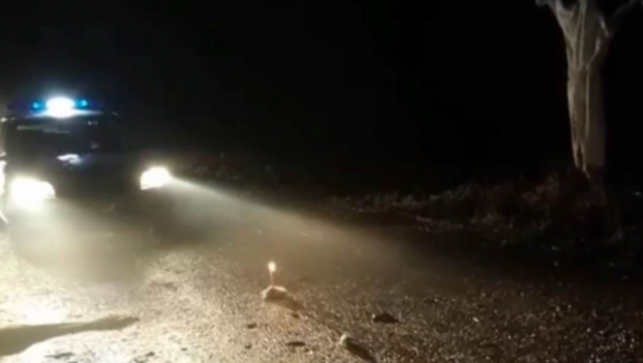 Nesvakidašnji događaj kod Šapca