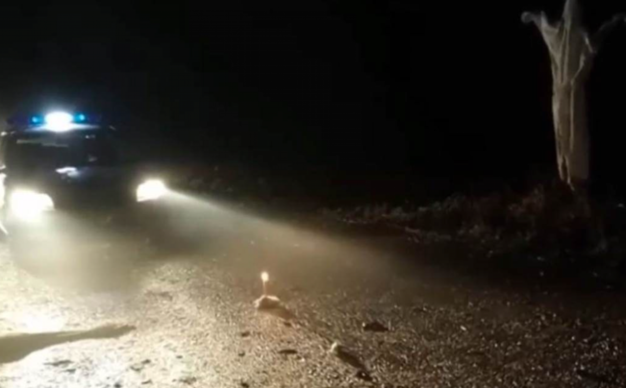 Nesvakidašnji događaj kod Šapca