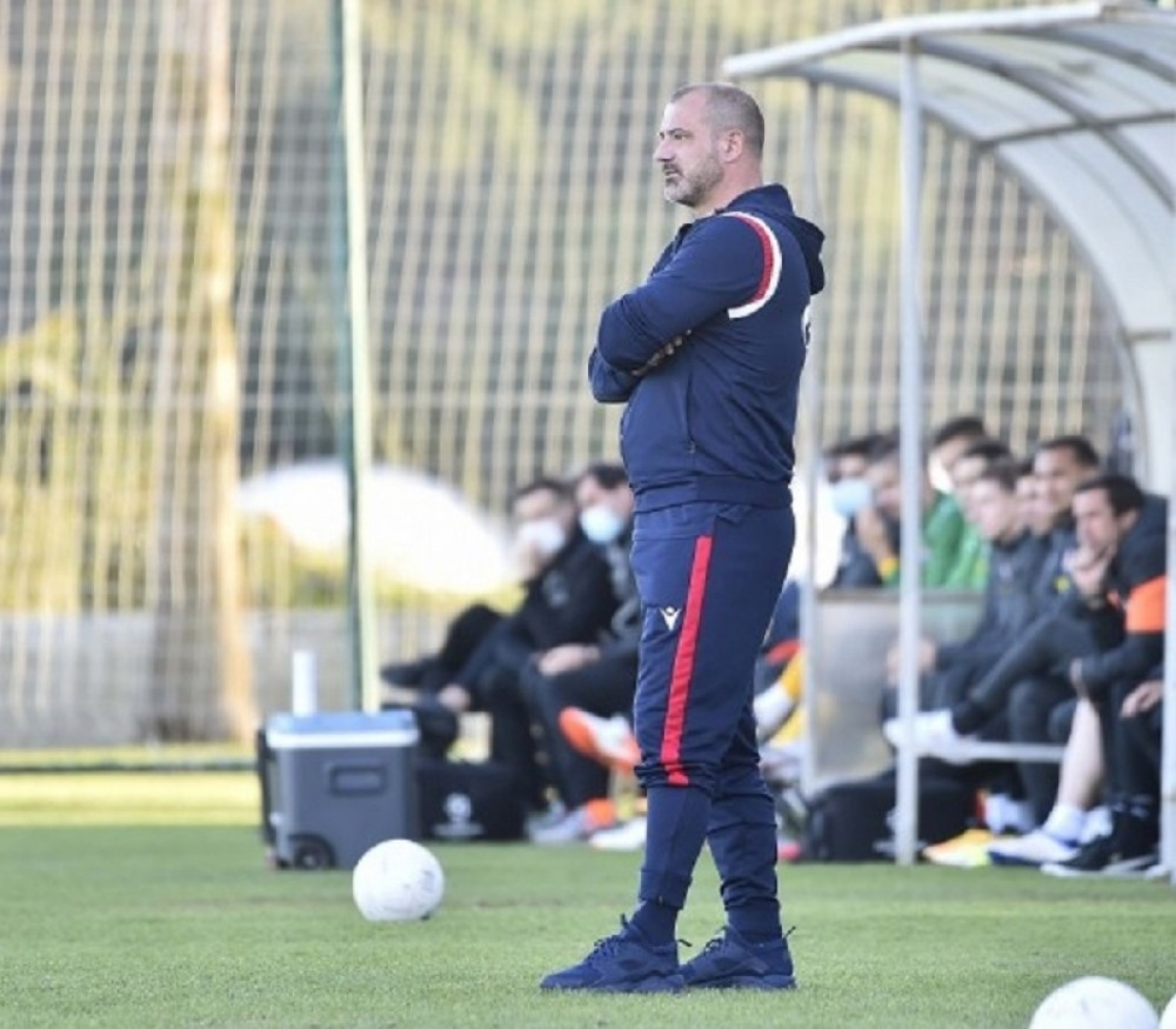 Dejan Stanković (Crvena zvezda)