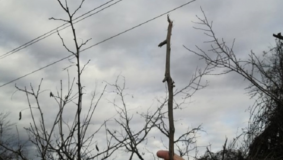 Meštani zaseoka Donja Bukovija iz Saranova