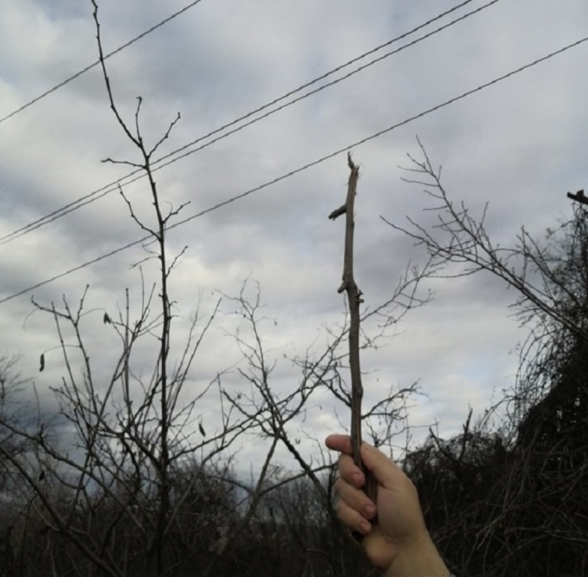 Meštani zaseoka Donja Bukovija iz Saranova