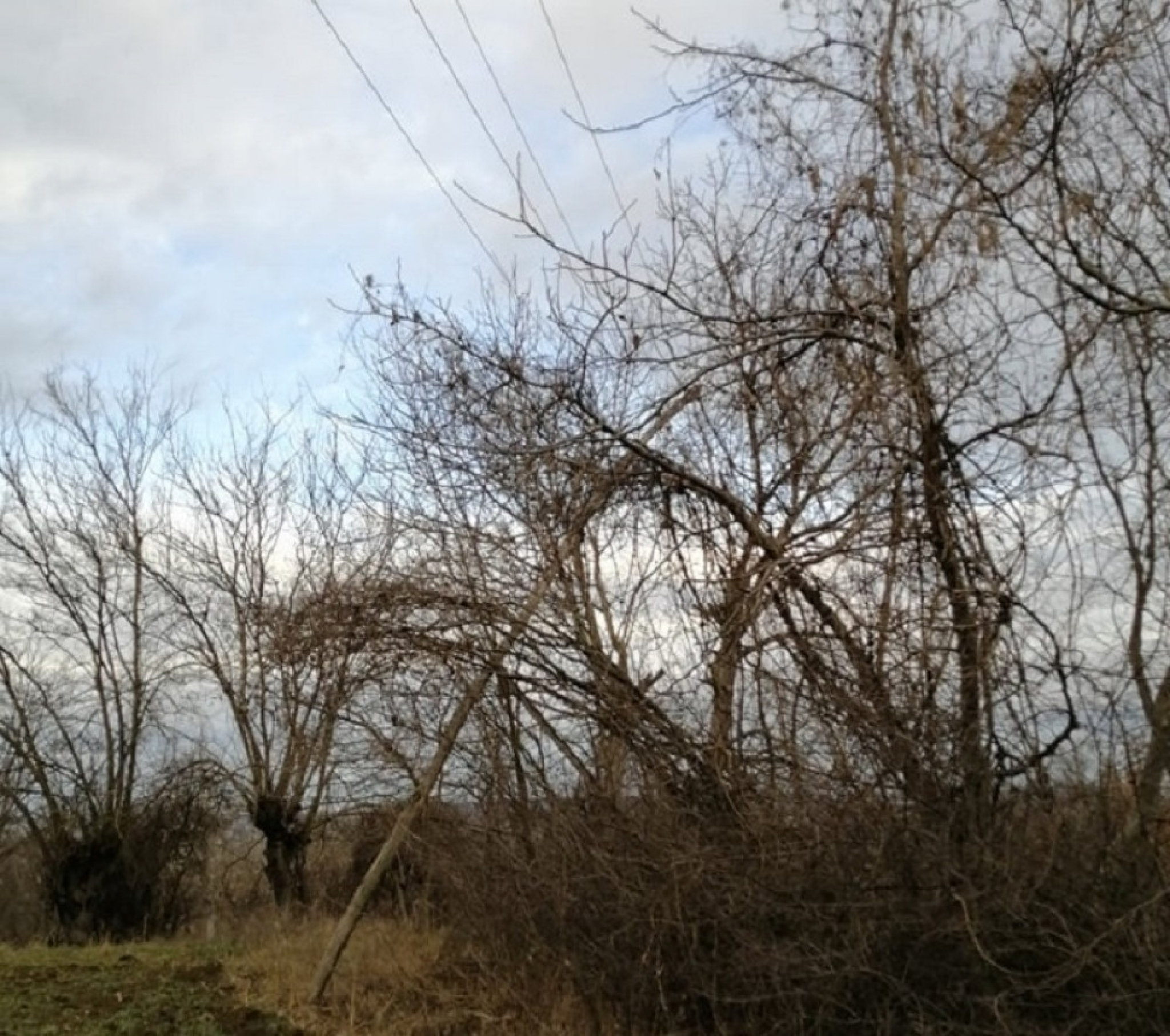 Meštani zaseoka Donja Bukovija iz Saranova