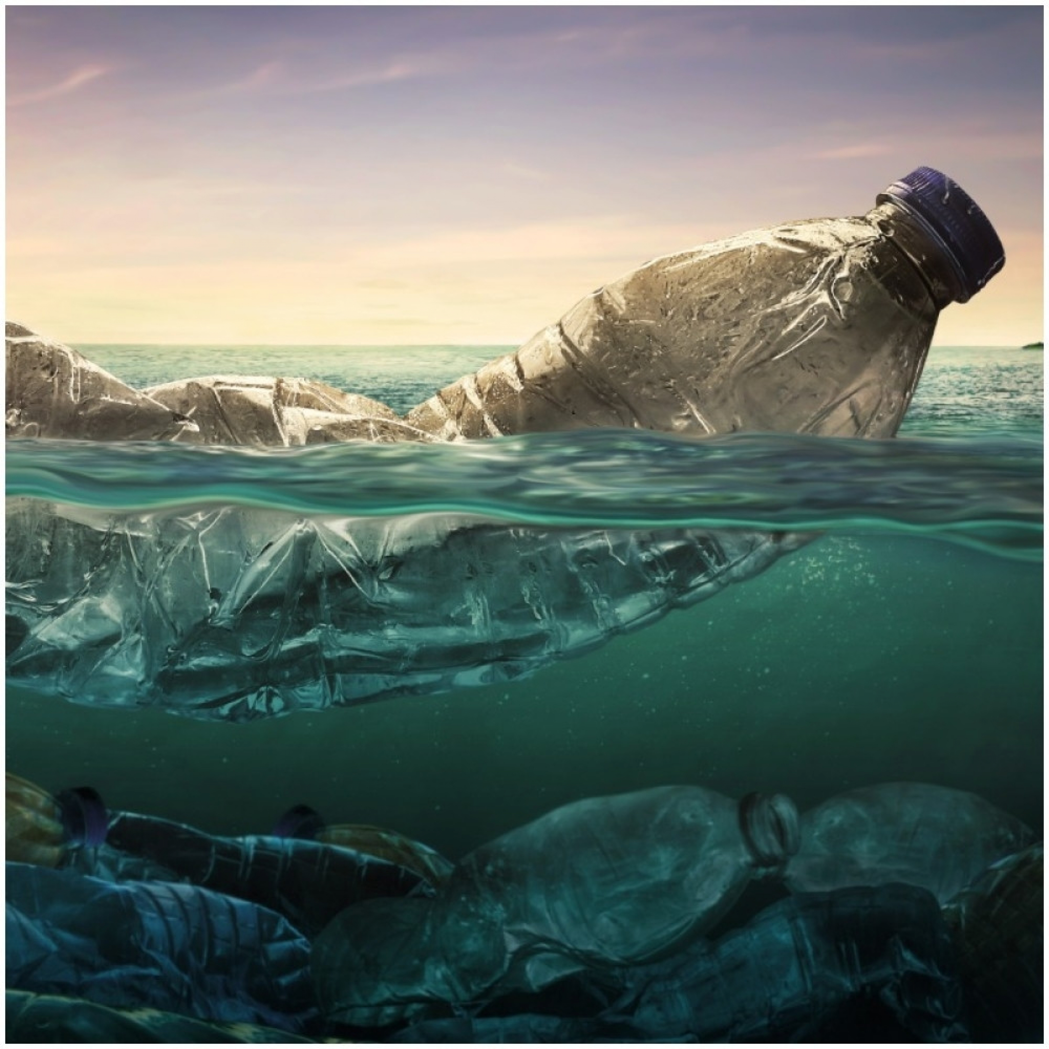 okean, ekologija, zagađena voda, ugrožene životinje