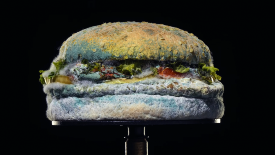 burger king, buđava hrana, pokvarena hrana