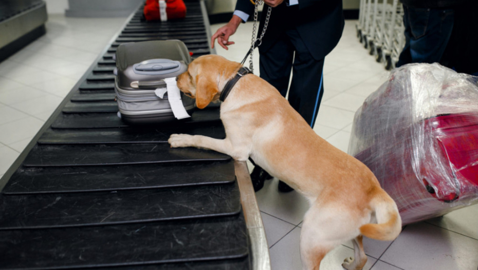 policija, policijski pas, aerodrom 
