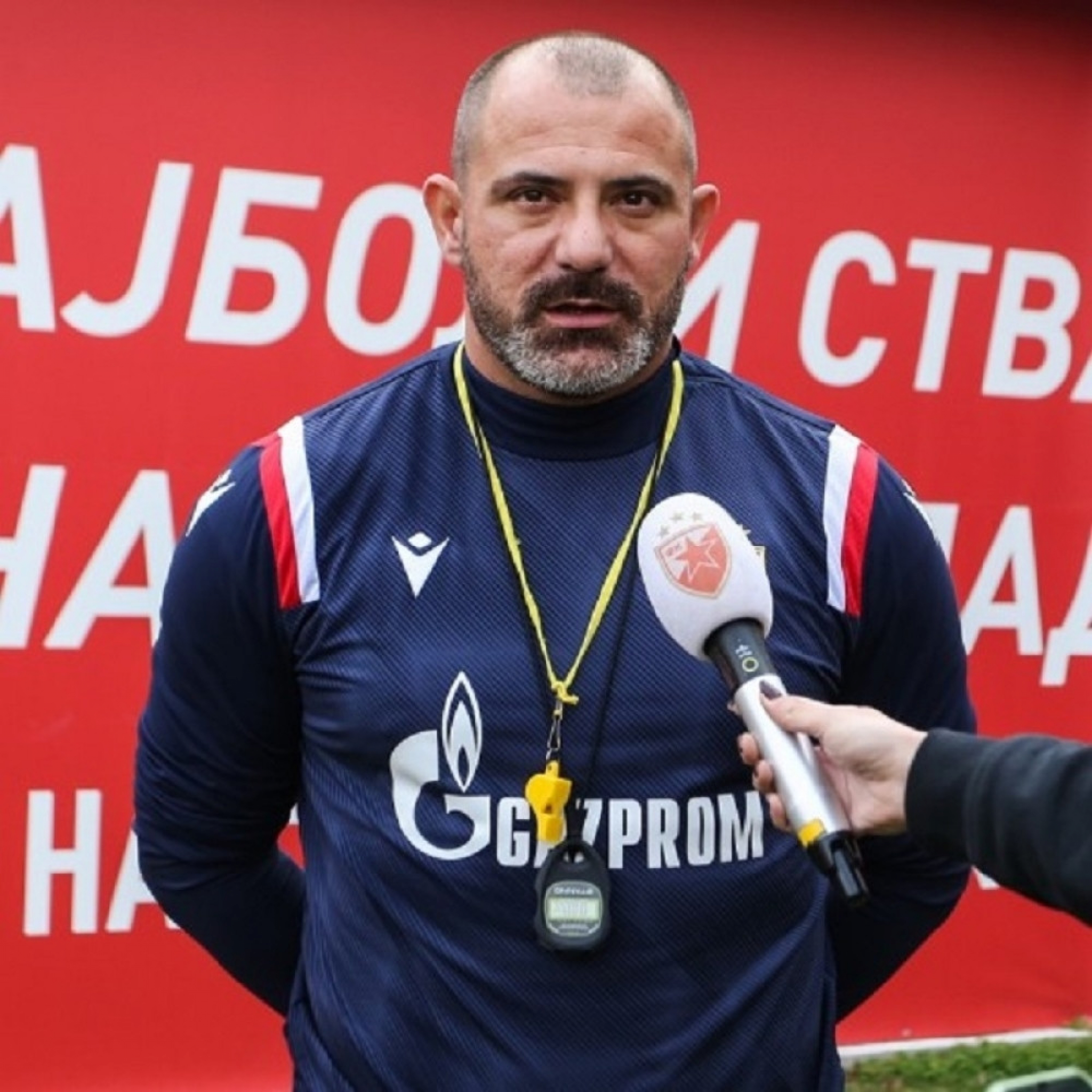 Dejan Stanković (Crvena zvezda)