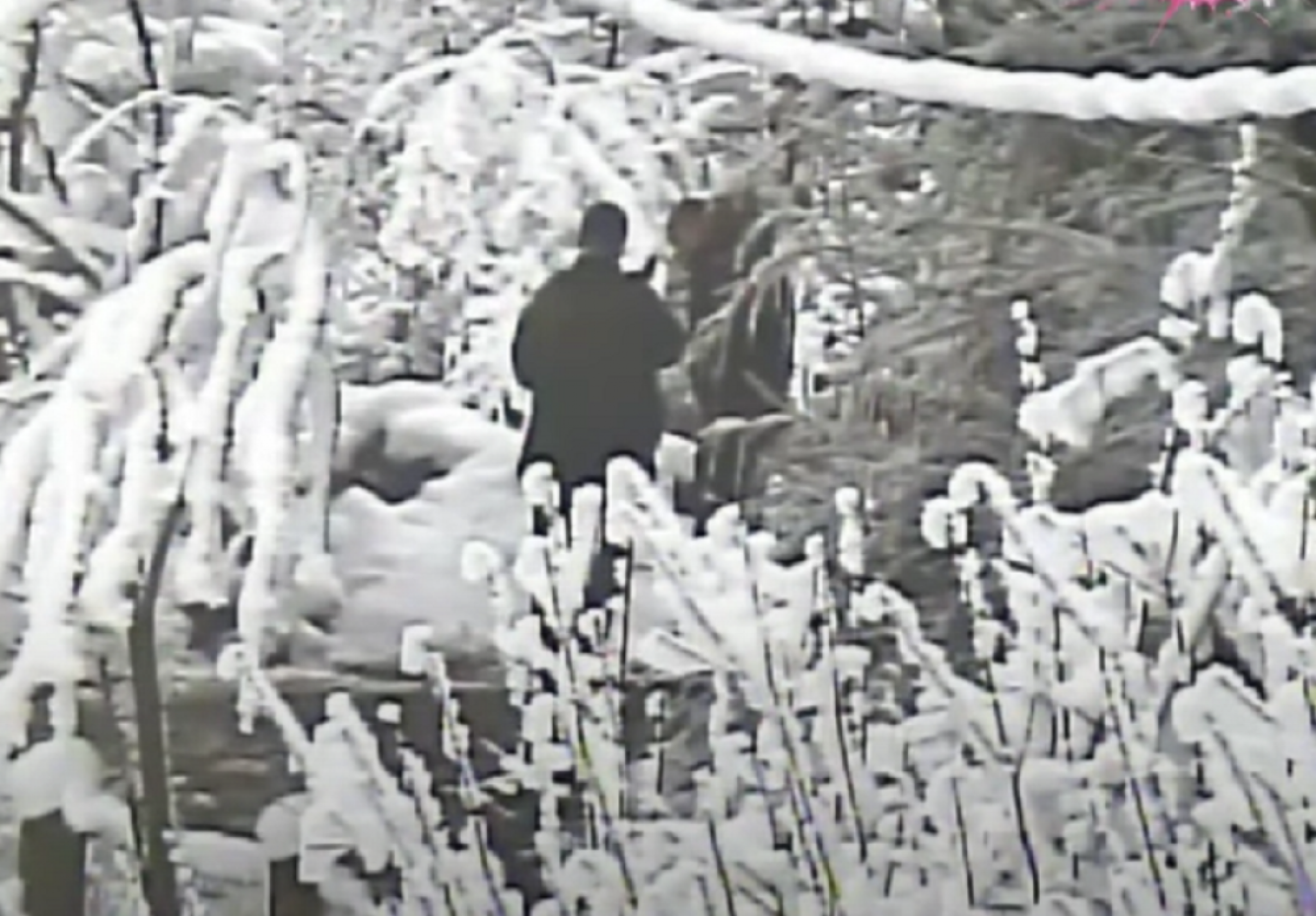 Belivuk puca iz snajpera