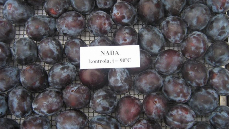 šljiva, sorta &quot;nada&quot;