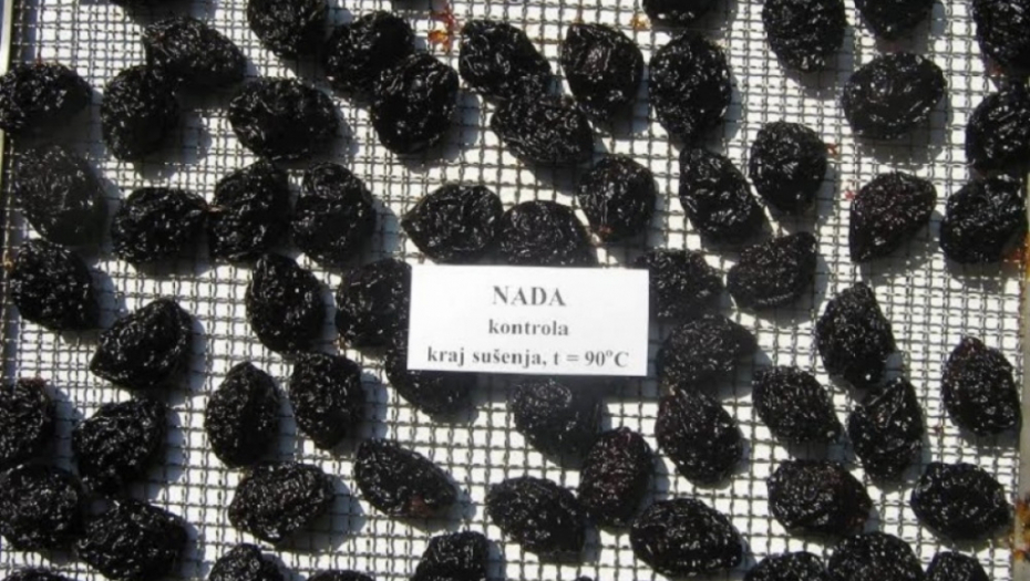 šljiva, sorta &quot;nada&quot;