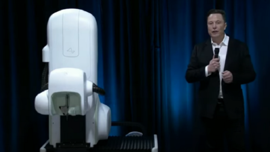 ilon mask, tesla, biznismen, majmun