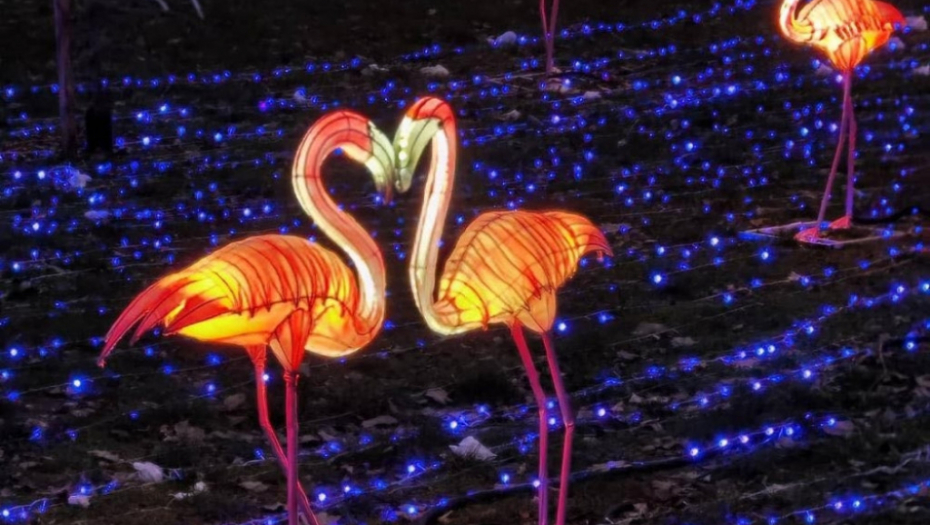 Kineski festival svetla u Novom Sadu