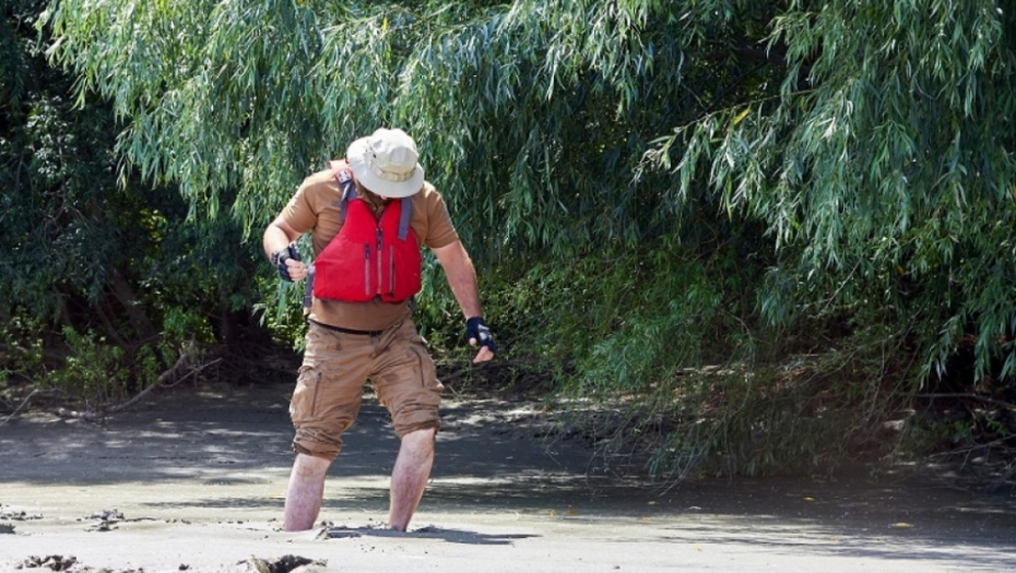 živi pesak, preživljavanje