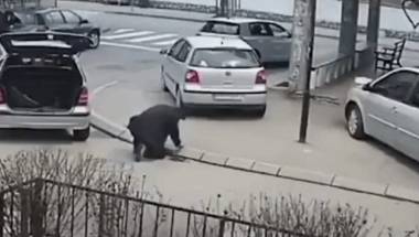 Gospodin ukrao ivičnjak