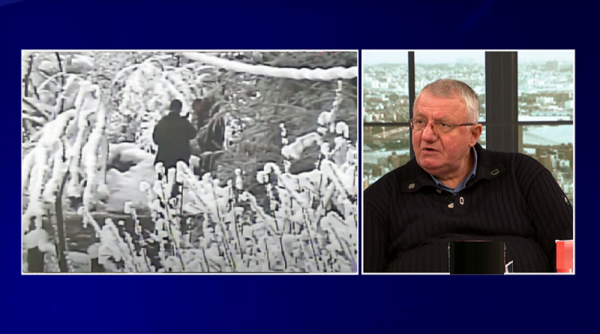 Vojislav &Scaron;e&scaron;elj