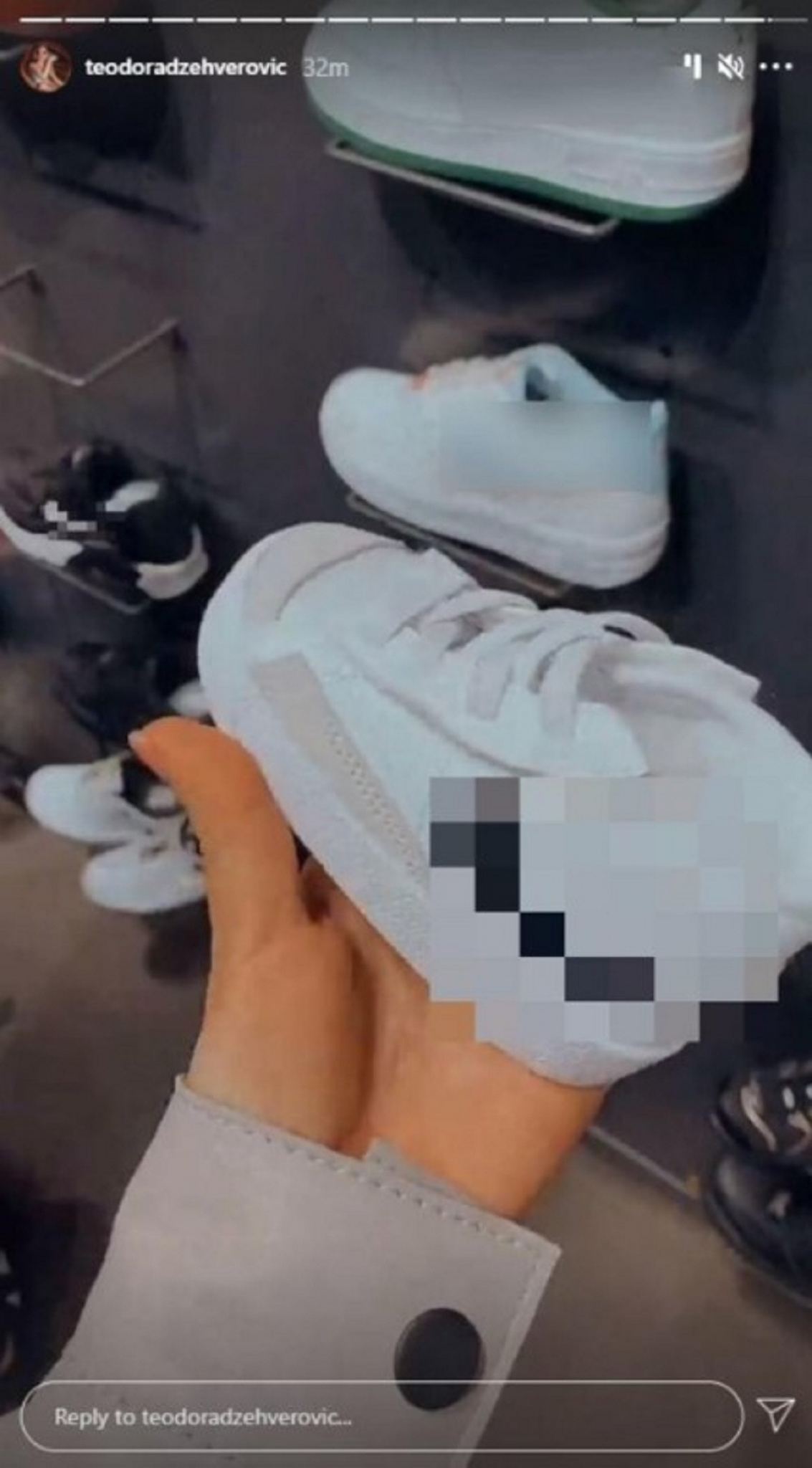 Teodora Džehverović