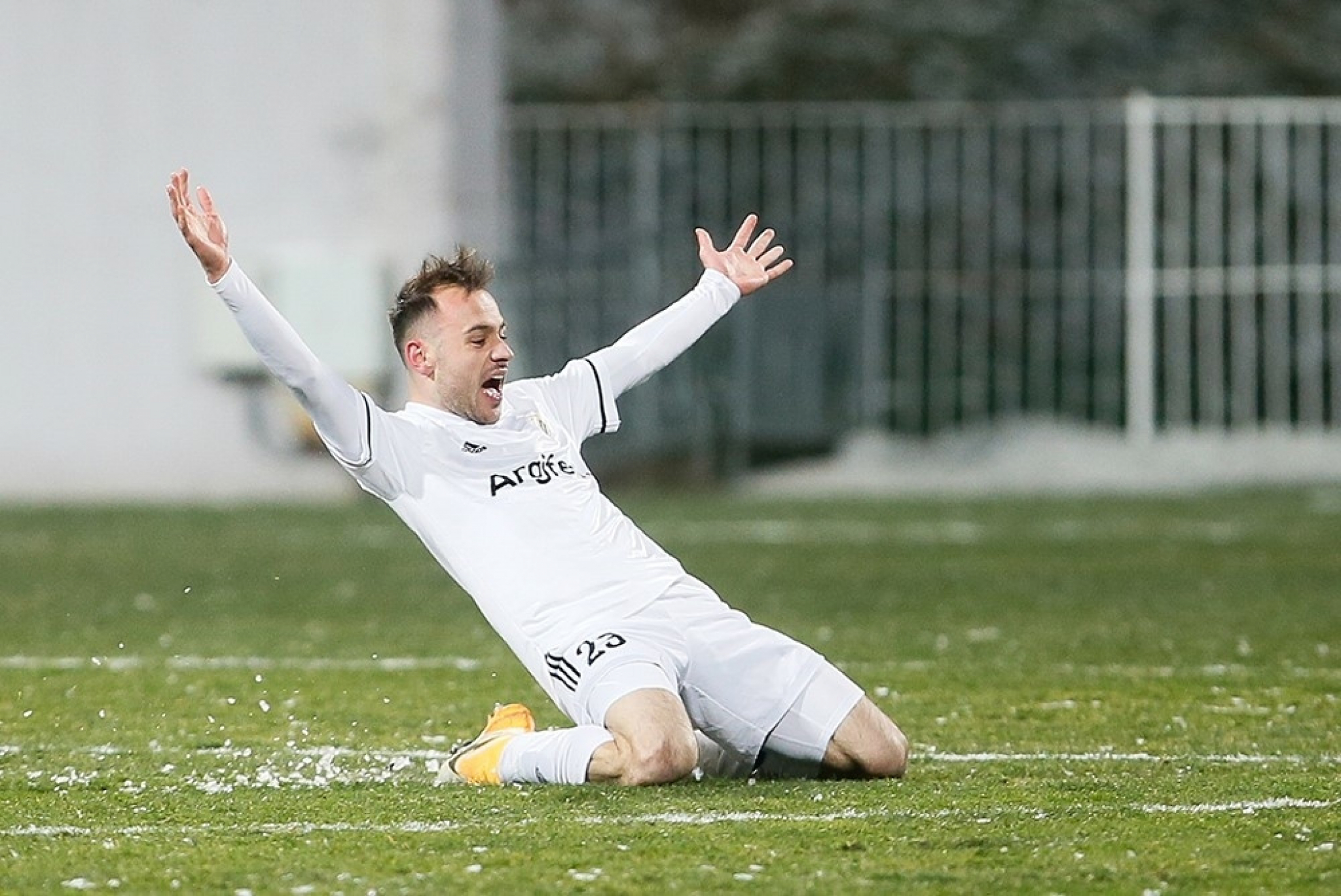 Stefan Čolović (Čukarički)