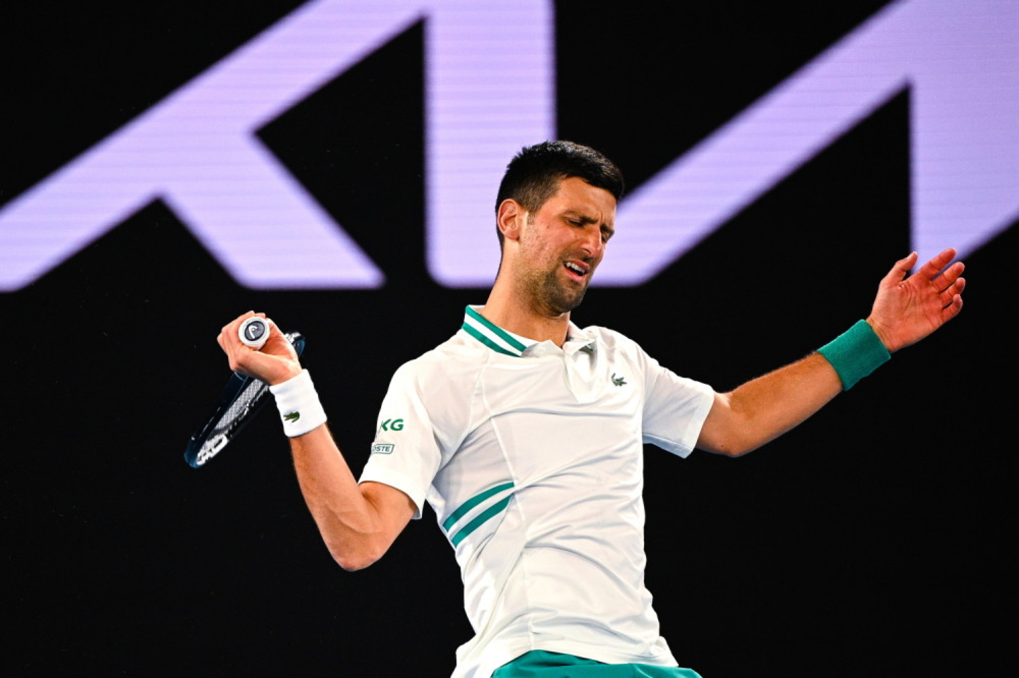 Novak Đoković - Milo&scaron; Raonić