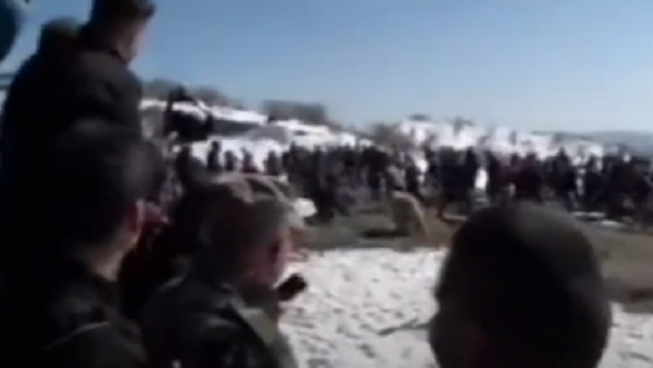 Sirijski medvedi krenuli na ljude