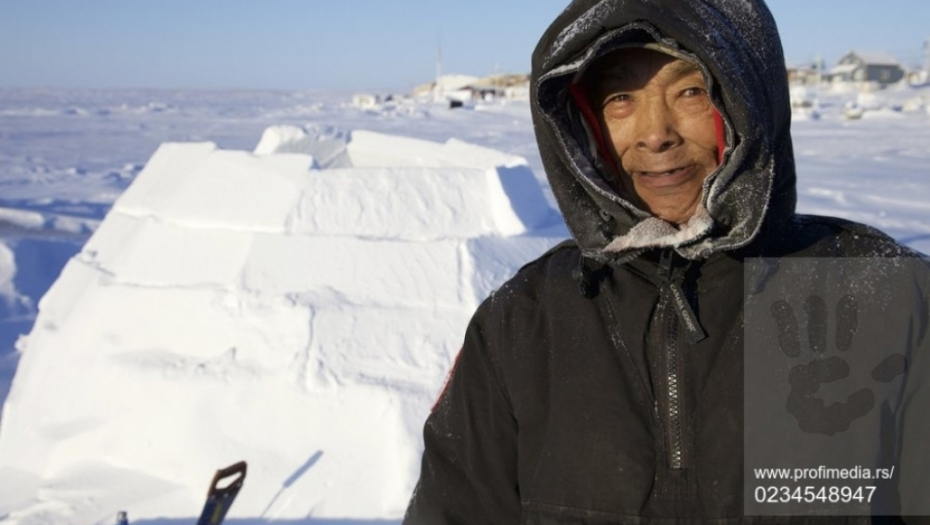 iglo, prodaja, severni pol
