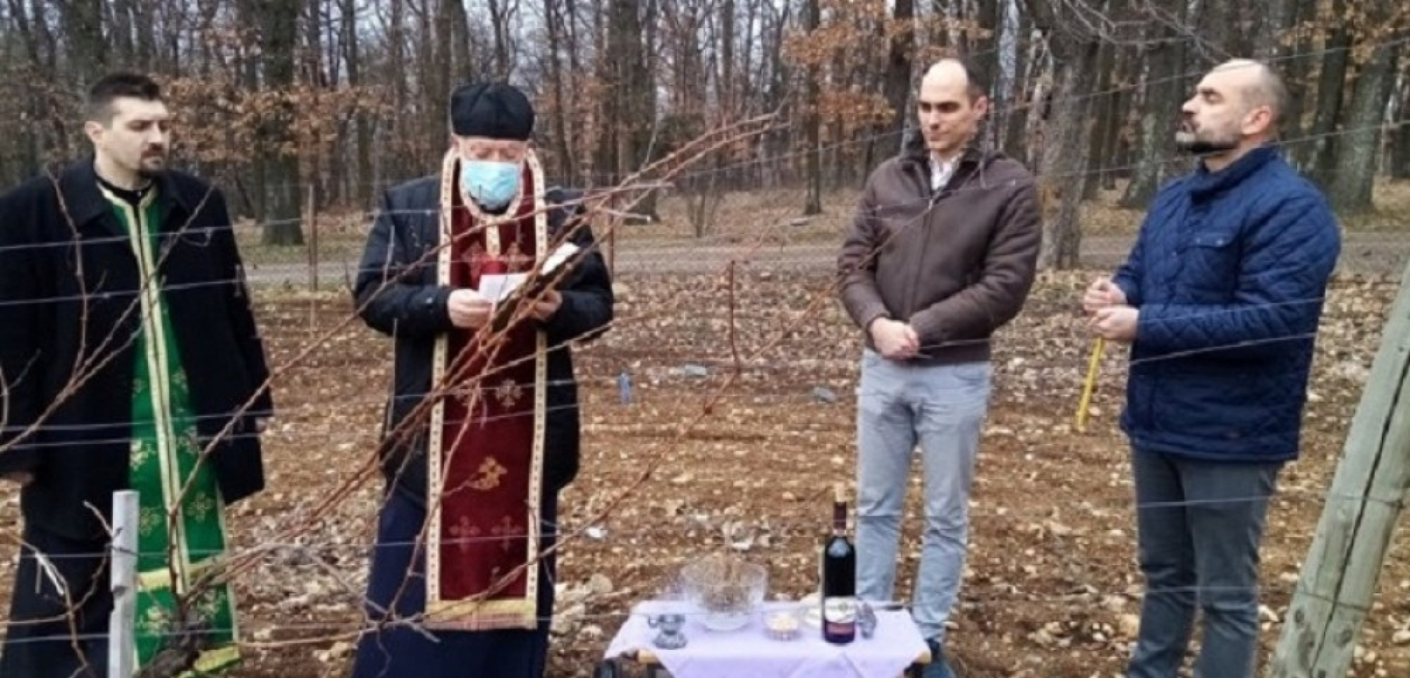 Princ Mihailo orezao lozu na Oplencu