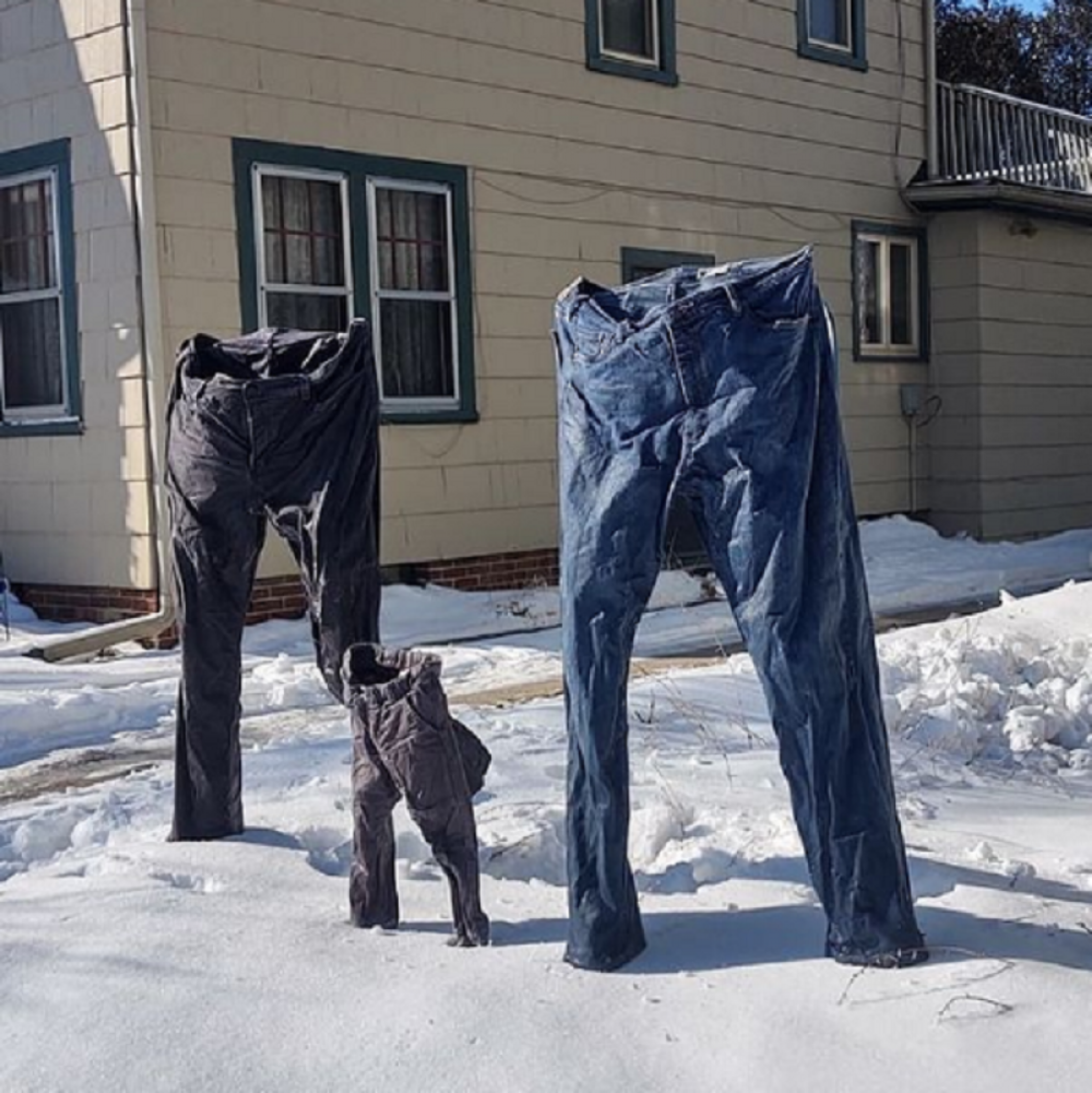 smrznute pantalone, trend