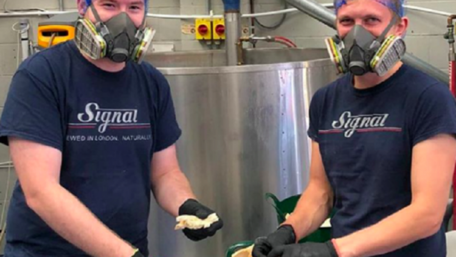 pivara, pivo od hleba