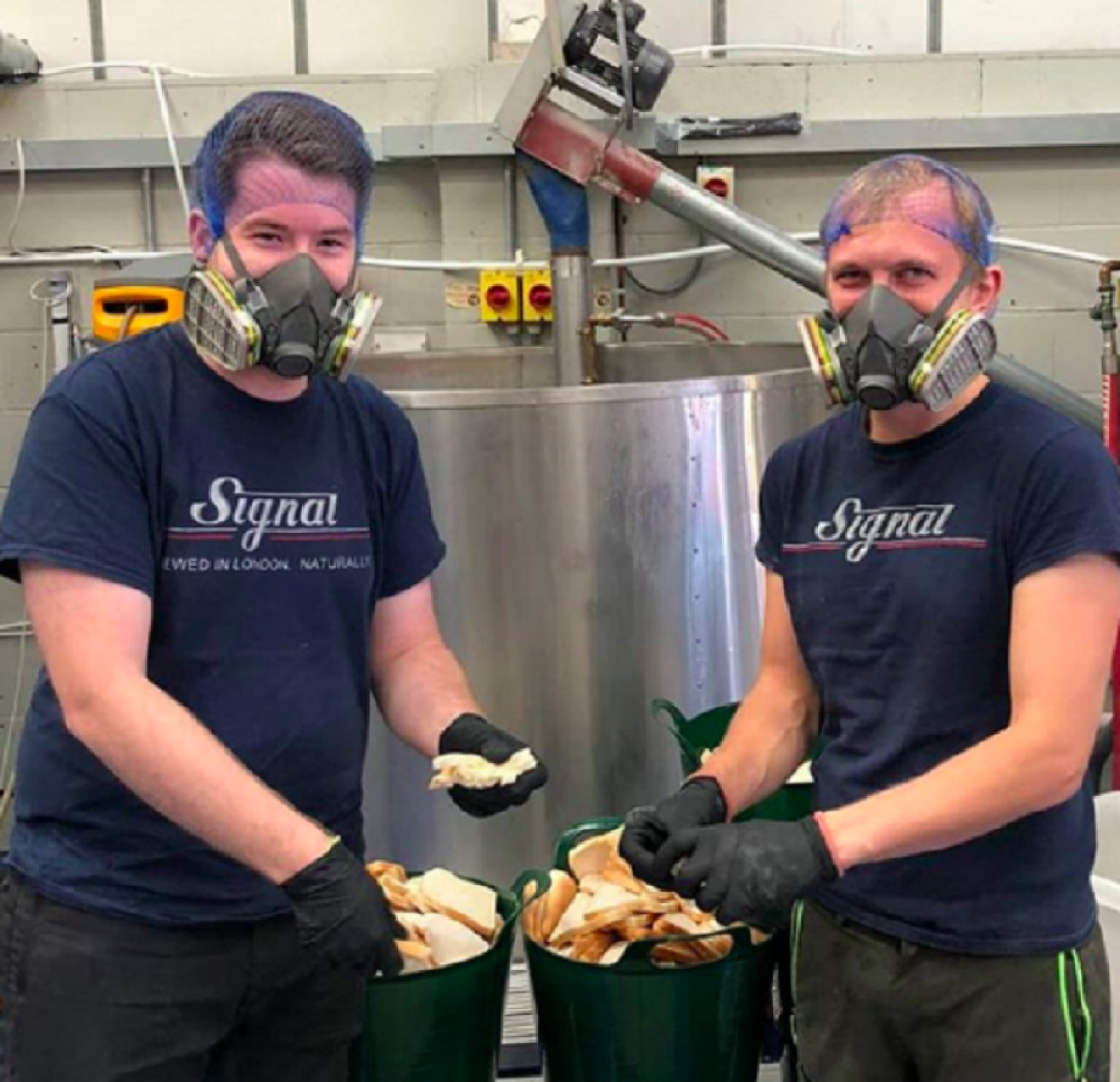 pivara, pivo od hleba