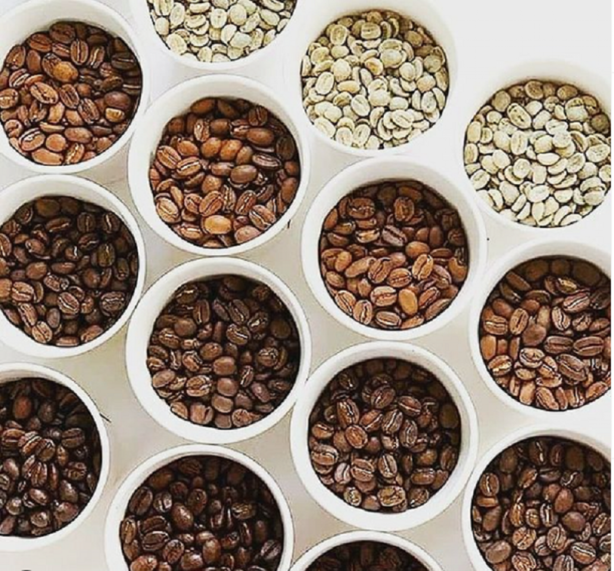 kafa, zrna kafe, jacu kafa