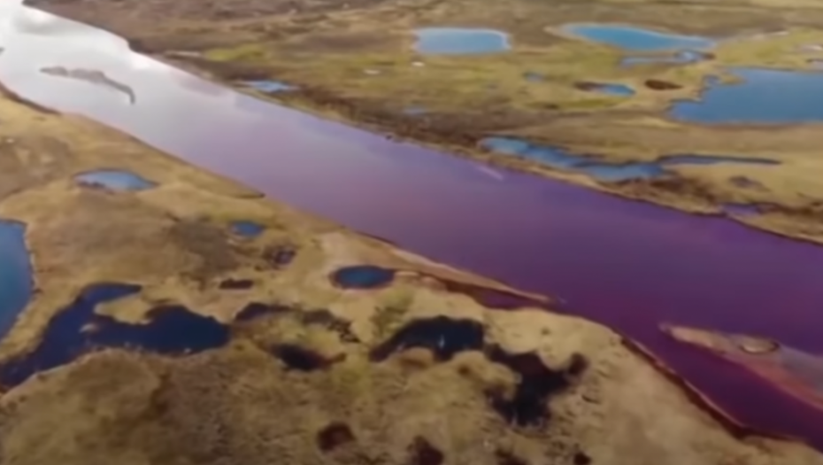 rekla, nafra, rusija