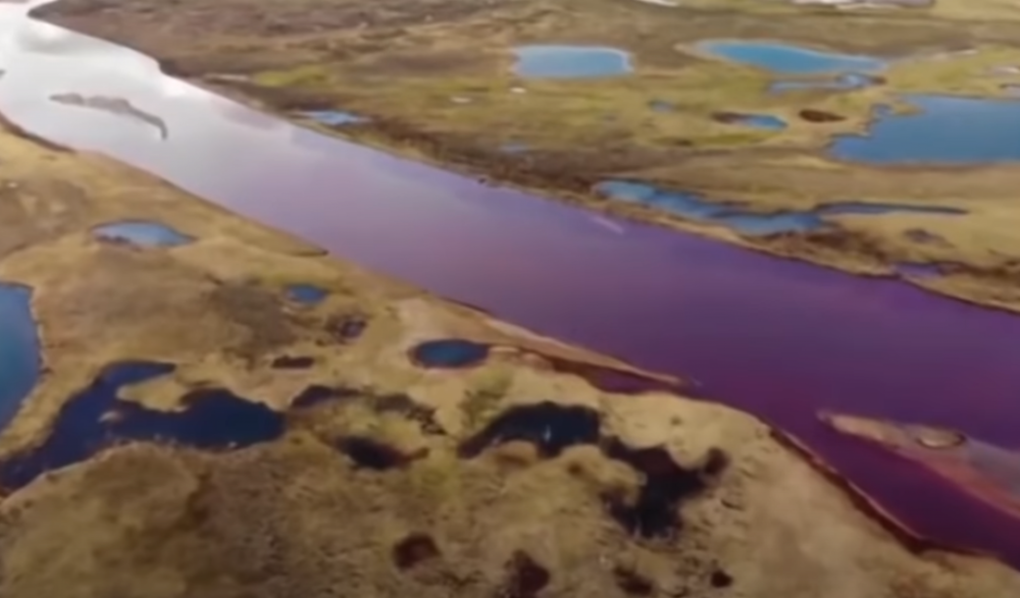 rekla, nafra, rusija