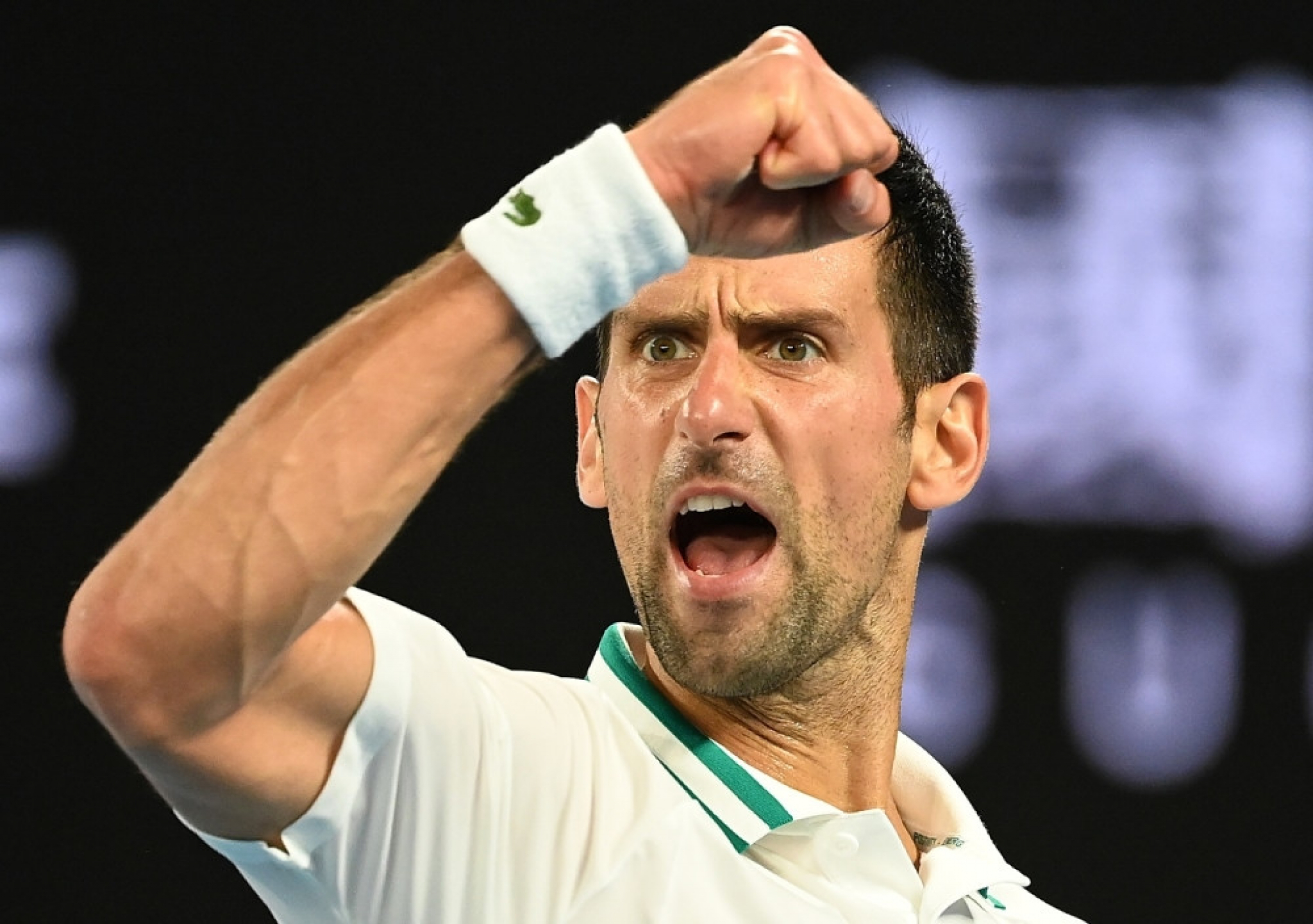 Novak Đoković