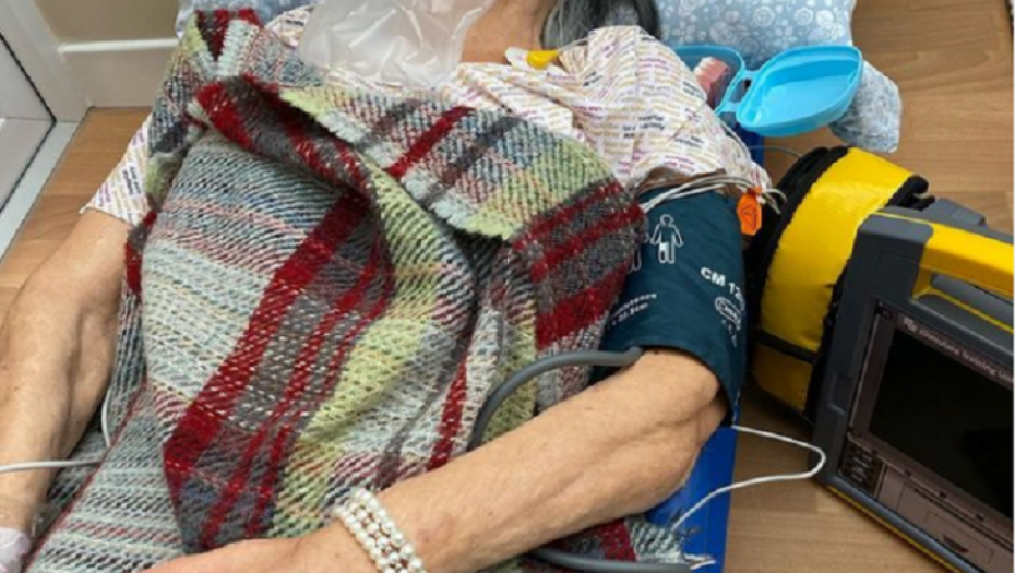 lutka, realistična lutka