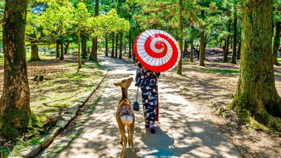 Nara, japan, park