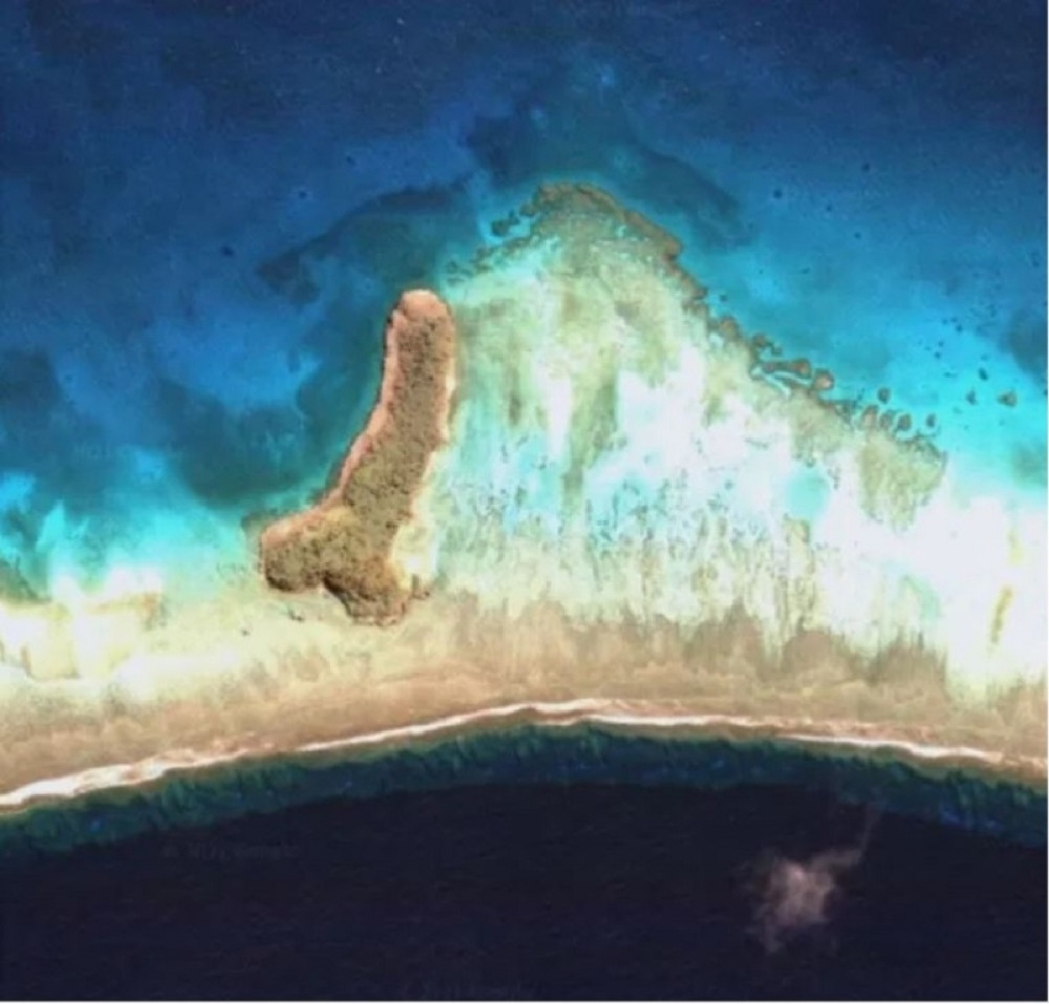 ostrvo penis, google