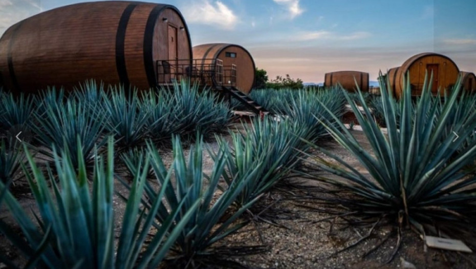 polja agave, hotel 