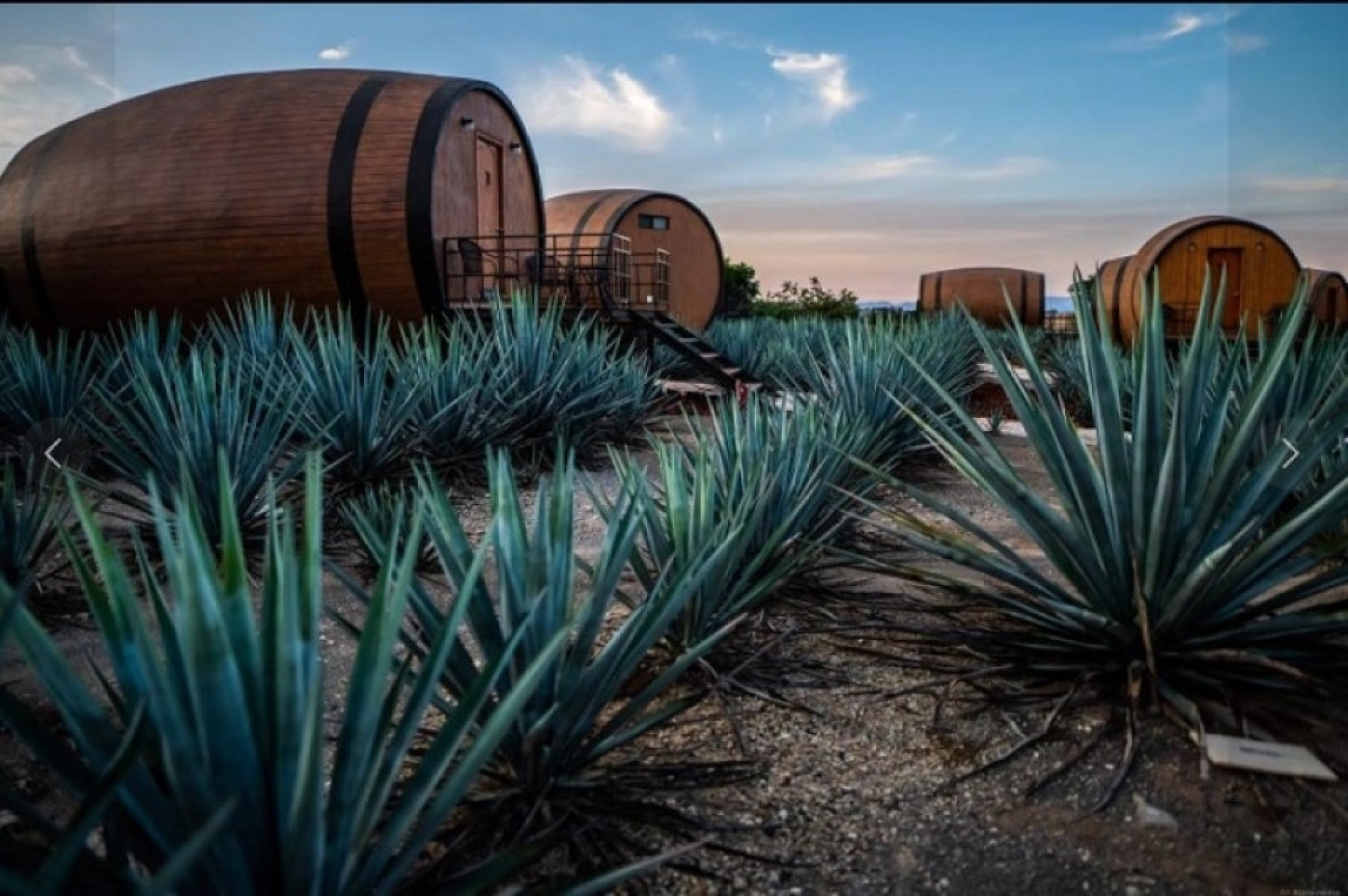 polja agave, hotel 