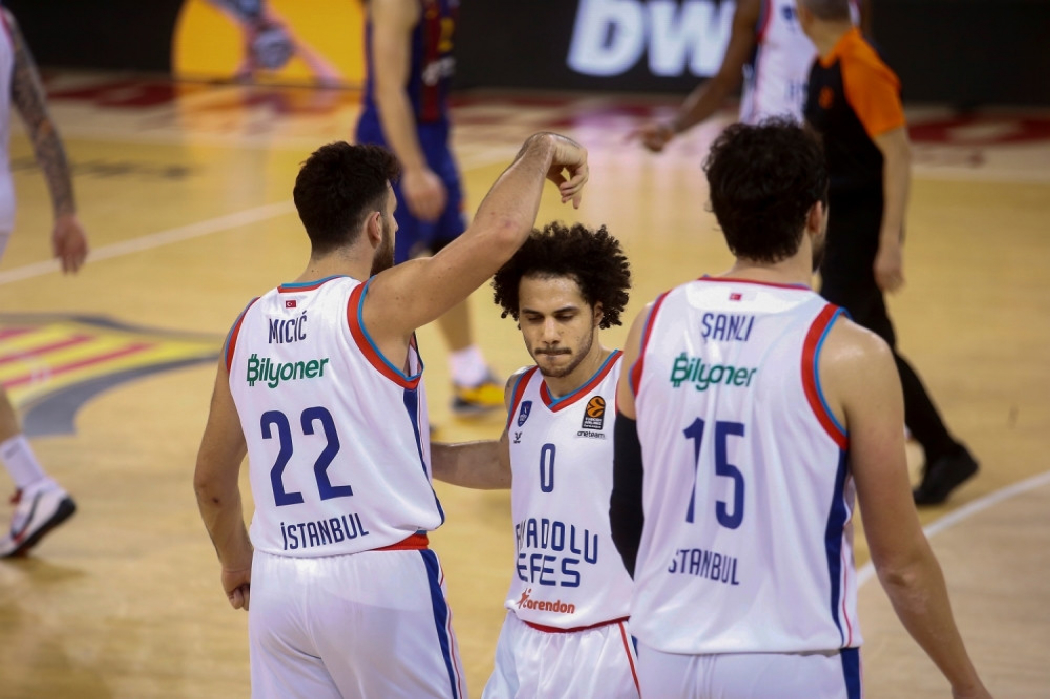 Vasilije Micić (Efes)