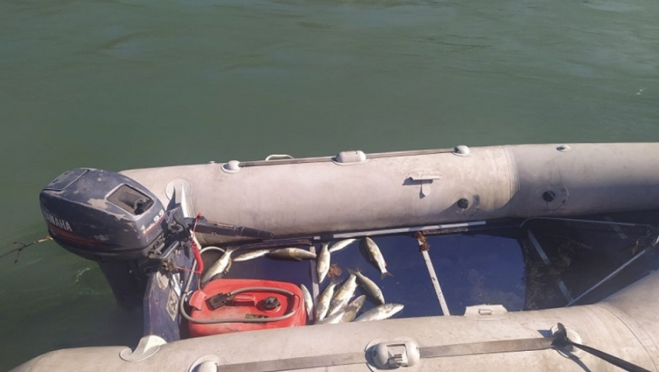 Uginule ribe u reci Lim